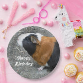 Assiettes En Carton Photo de Cochon de Guinée Anniversaire (Fête)