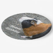 Assiettes En Carton Photo de Cochon de Guinée Anniversaire (Angle)