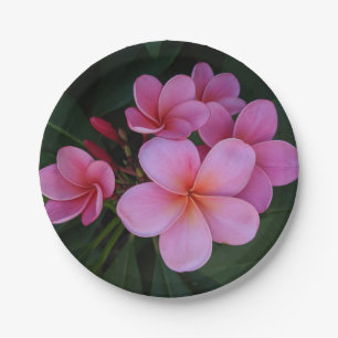 Assiettes En Carton Photo de fleur de plumeria rose jolie