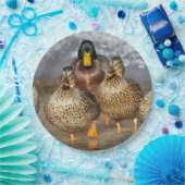 Assiettes En Carton Photo de la faune de Mallard Ducks (Fête)