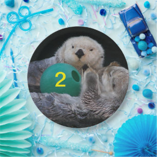 Assiettes En Carton Photo de la louette de mer cute pour enfants