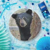 Assiettes En Carton Photo de l'ours noir (Fête)