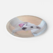 Assiettes En Carton Photo de mignon blanc chiot blanc visage (Angle)