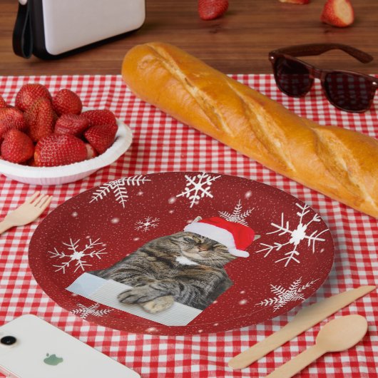 Assiettes En Carton Photo de Noël Humbug de chat avec Santa Hat (Pique-nique)