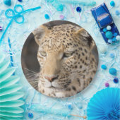 Assiettes En Carton Photo de portrait léopard (Fête)