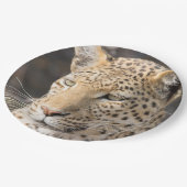 Assiettes En Carton Photo de portrait léopard (Angle)