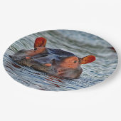 Assiettes En Carton Photo d'eau d'Hippo Faune (Angle)