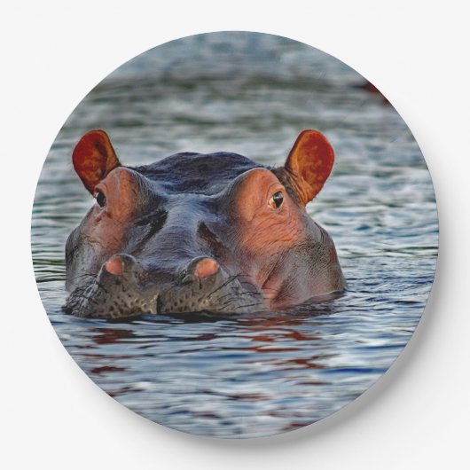 Assiettes En Carton Photo d'eau d'Hippo Faune (Devant)
