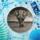 Assiettes En Carton Photo d'éléphant Bull de la faune (Fête)