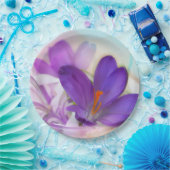 Assiettes En Carton Photo d'un joli Crocus de printemps violet (Fête)