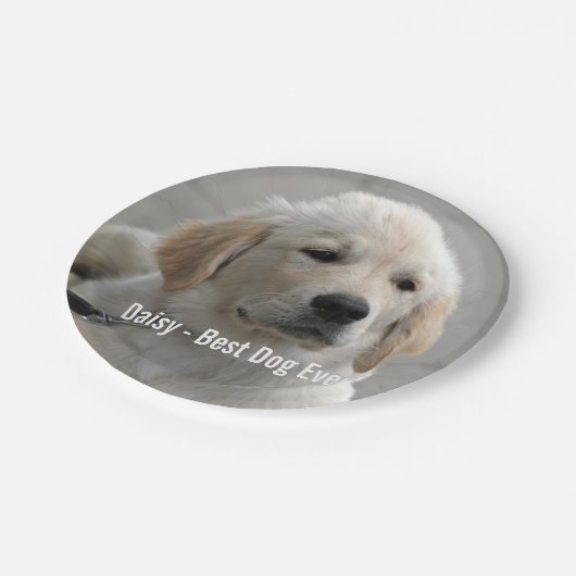 Assiettes En Carton Photo et nom personnalisés Golden Retriever Dog (Angle)