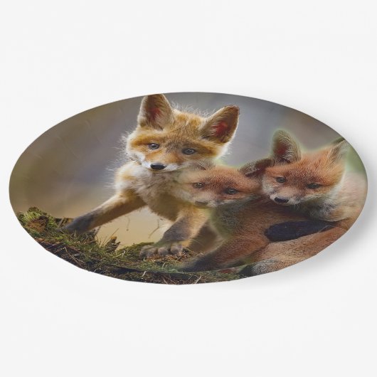 Assiettes En Carton Photo Fox Kits (Angle)