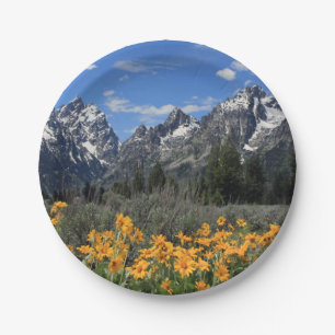 Assiettes En Carton Photo Grand Teton Springtime Souvenir