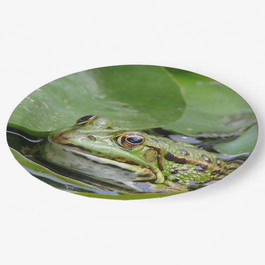 Assiettes En Carton Photo Grenouille Green Lily Pad (Angle)