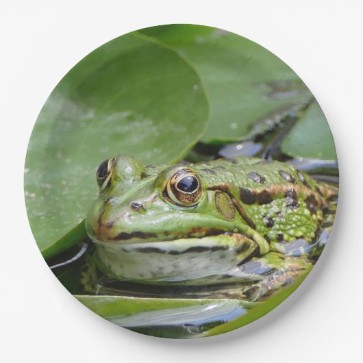 Assiettes En Carton Photo Grenouille Green Lily Pad (Devant)
