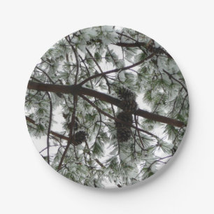 Assiettes En Carton Photo hivernale sous le pin couvert de neige