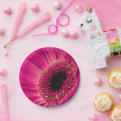 Assiettes En Carton Photo, macro (Fête)