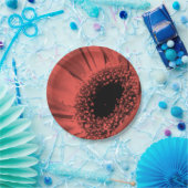 Assiettes En Carton Photo, macro (Fête)