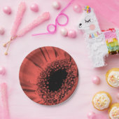 Assiettes En Carton Photo, macro (Fête)