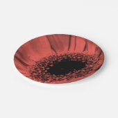 Assiettes En Carton Photo, macro (Angle)