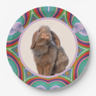 Assiettes En Carton Photo personnalisé de lapin Holland Lop arc-en-cie