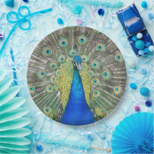Assiettes En Carton Photo Plumage Peacock bleu