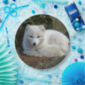 Assiettes En Carton Photo White Fox (Fête)