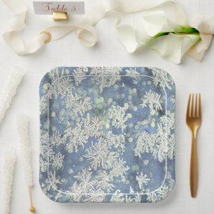 Assiettes En Carton Photographie abstraite de givre gelé Bleu/Blanc
