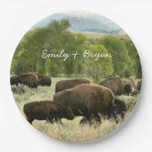 Assiettes En Carton Photographie d'animaux de nature de bison du Wyomi