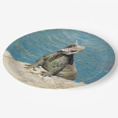 Assiettes En Carton Photographie de la faune tropicale Iguana à St. Th (Angle)