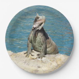 Assiettes En Carton Photographie de la faune tropicale Iguana à St. Th