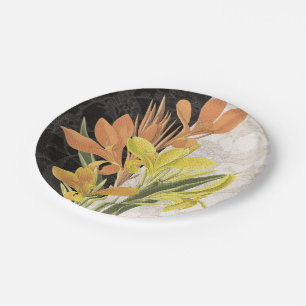 Assiettes En Carton Pièce maîtresse I