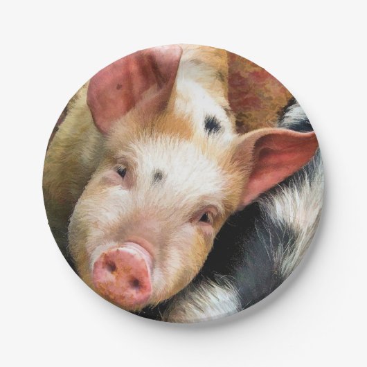 ASSIETTES EN CARTON PIÈCES (Devant)