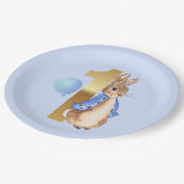 Assiettes En Carton Pierre le lapin 1er anniversaire Ballon bleu (Angle)