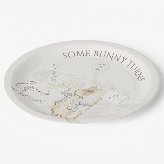 Assiettes En Carton Pierre le lapin Soe Bunny 1er anniversaire (Angle)