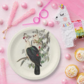 Assiettes En Carton Pigeon à tête blanche, (Fête)