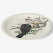 Assiettes En Carton Pigeon à tête blanche, (Angle)