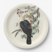 Assiettes En Carton Pigeon à tête blanche, (Devant)