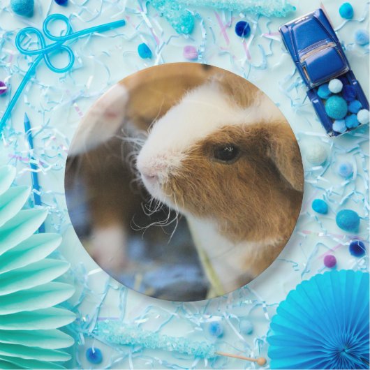 Assiettes En Carton Piggy (Fête)