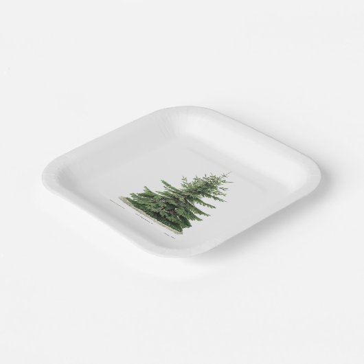 Assiettes En Carton Pine Tree Plate de Noël Fête Diner (Angulaire)