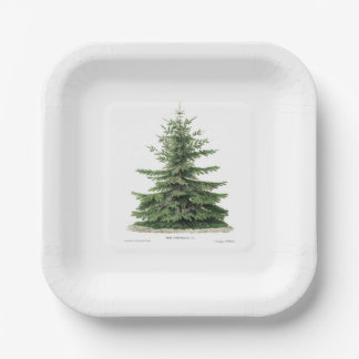 Assiettes En Carton Pine Tree Plate de Noël Fête Diner