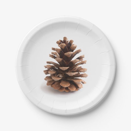 Assiettes En Carton Pinecone (Devant)