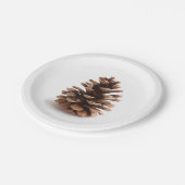 Assiettes En Carton Pinecone (Angle)