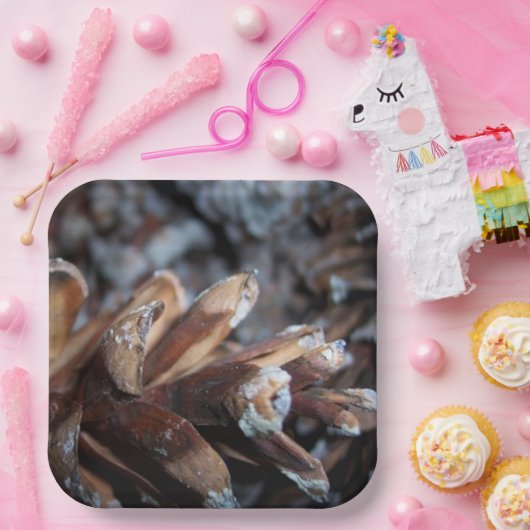 Assiettes En Carton Pinecones Automne Automne Nature Serving (Fête)