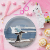 Assiettes En Carton Pingouin devant une arche de glace (Fête)