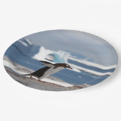Assiettes En Carton Pingouin devant une arche de glace (Angle)