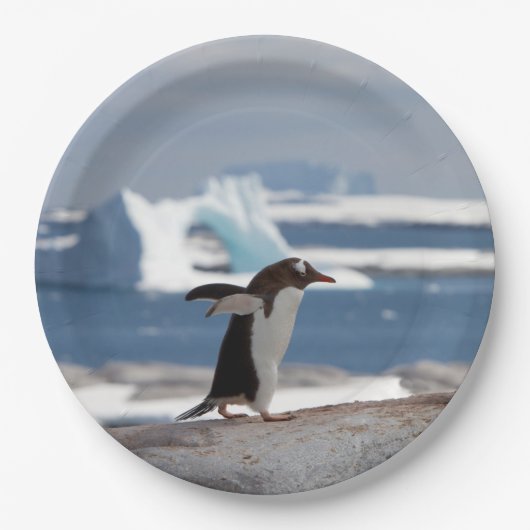 Assiettes En Carton Pingouin devant une arche de glace (Devant)