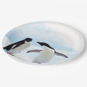 Assiettes En Carton Pingouins d'Adelie (Angle)