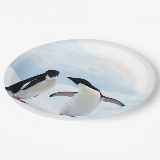 Assiettes En Carton Pingouins d'Adelie (Angle)