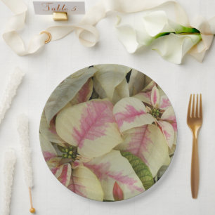 Assiettes En Carton Pink and Cream Poinsettias